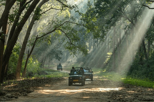 Mussoorie Dehradun Rishikesh Jim Corbett Ranikhet Kausani & Nainital Bhimtal Tour Package.